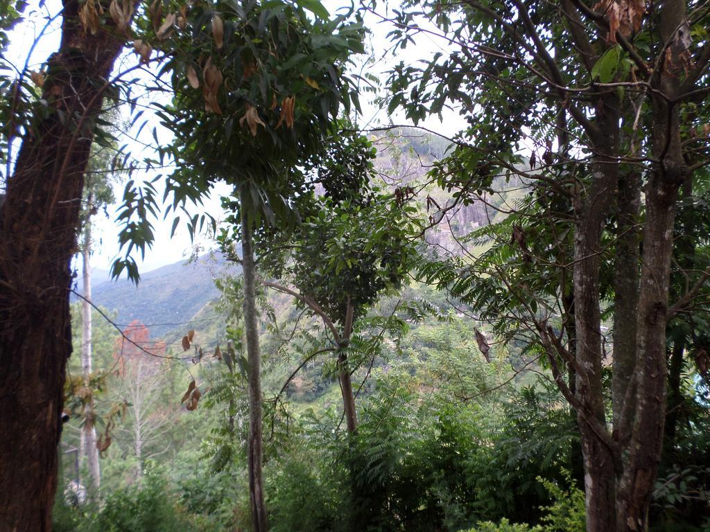 Jaye Homestay إيلا المظهر الخارجي الصورة