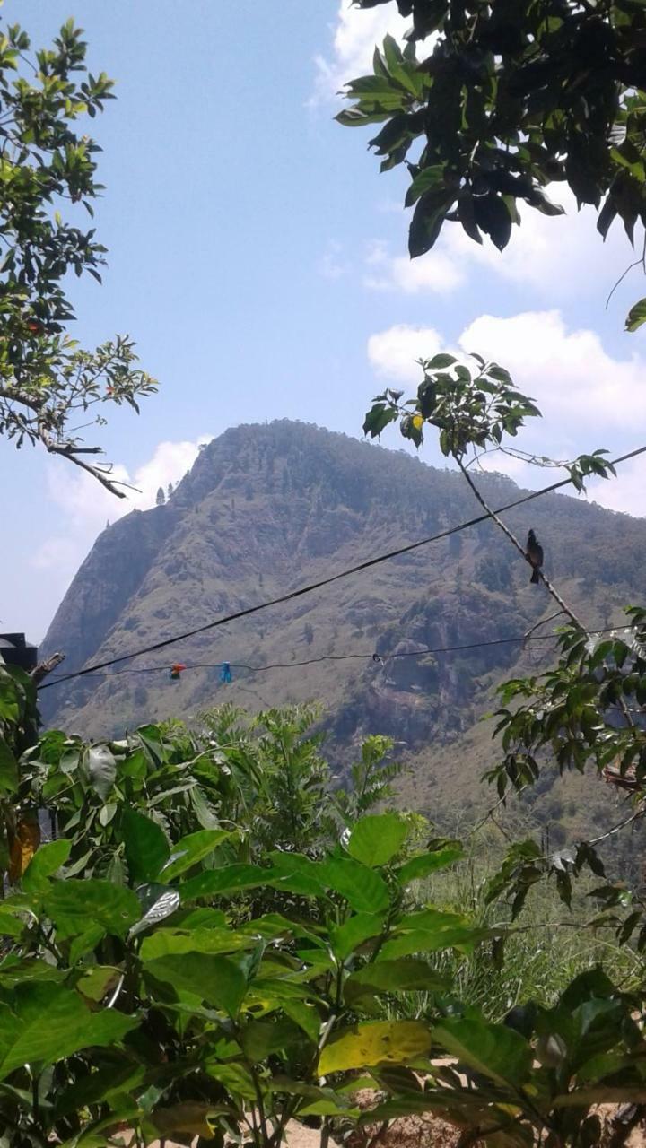 Jaye Homestay إيلا المظهر الخارجي الصورة